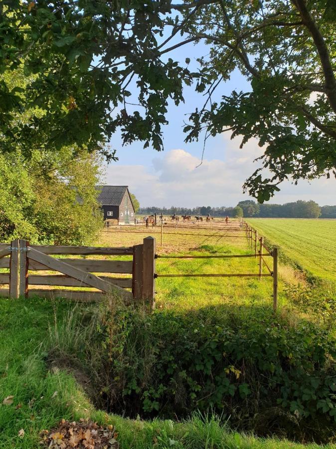 B&B De Berghoeve Ruinen Exterior photo